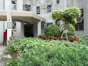 美樂中英文幼稚園(景峰花園分校) 外观