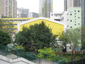 龍翔官立中學